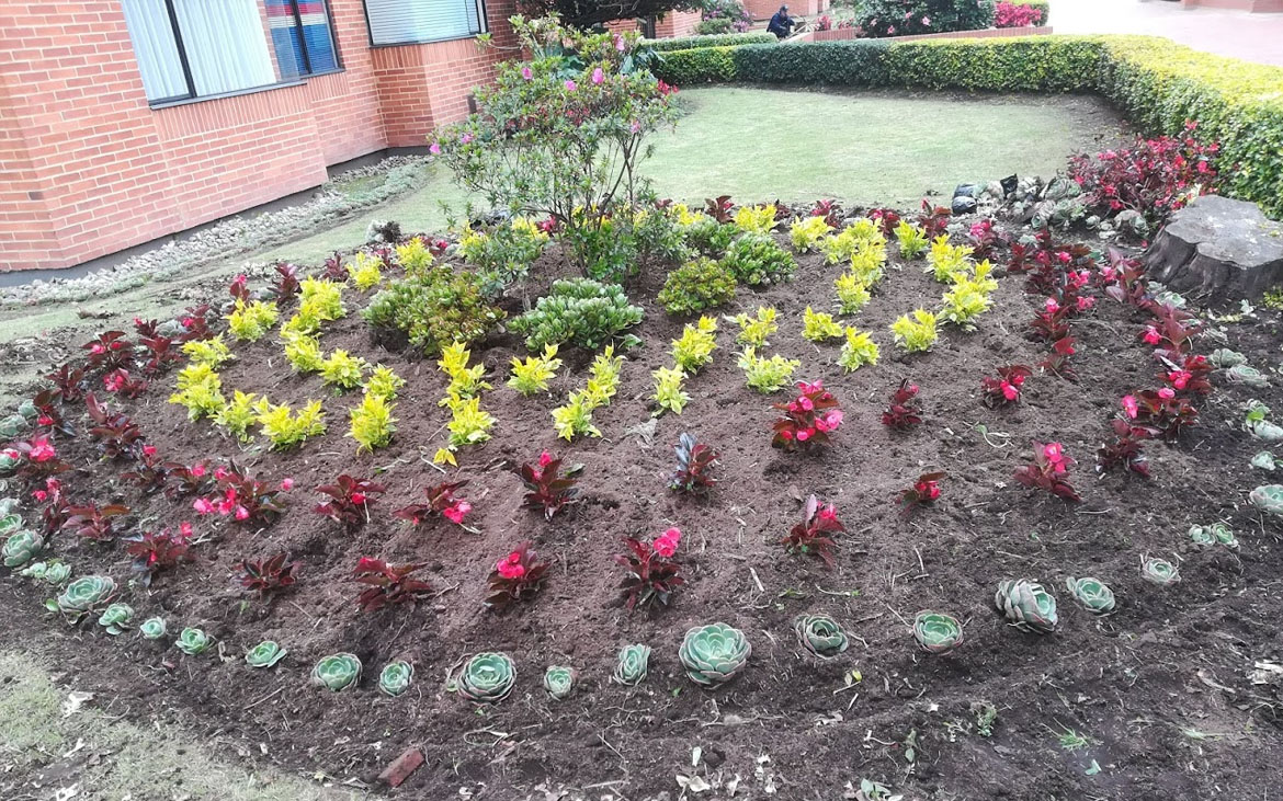jardineros en bogota jardineros en bogota