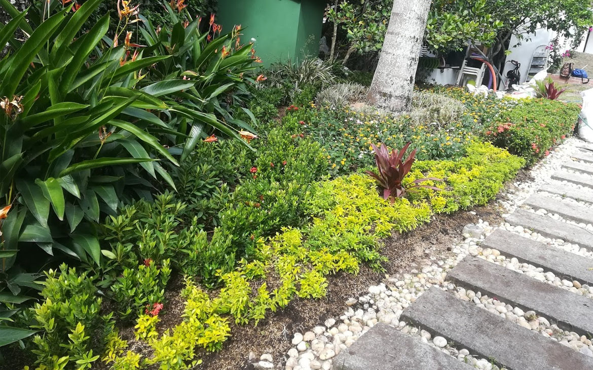 jardineros para edificios en bogota jardineros para edificios en bogota