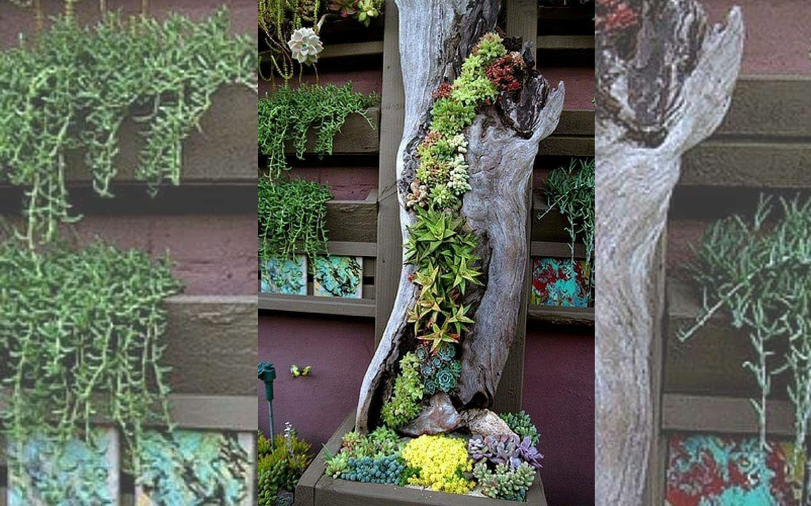 jardines verticales en cota jardines verticales en cota